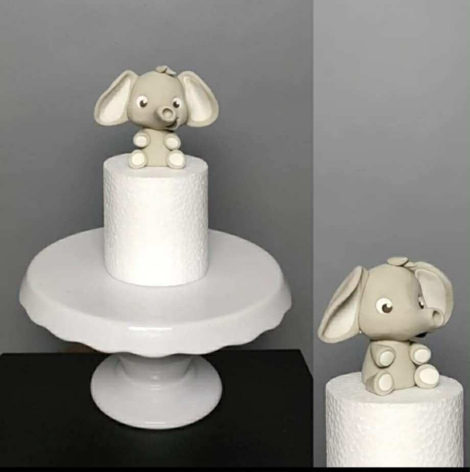 Fondant Workshop for Beginners ( July 6 )